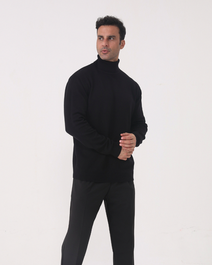 Knit Regular Fit Turtleneck Sweater