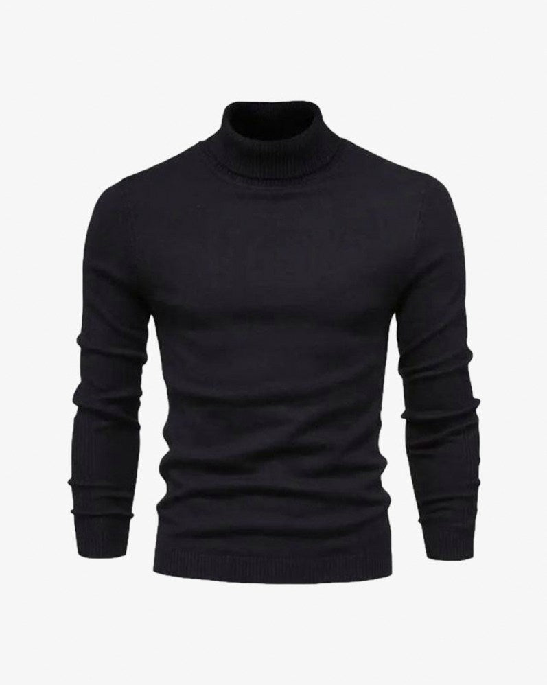 Knit Regular Fit Turtleneck Sweater