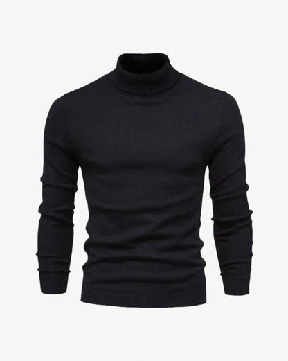 Knit Regular Fit Turtleneck Sweater