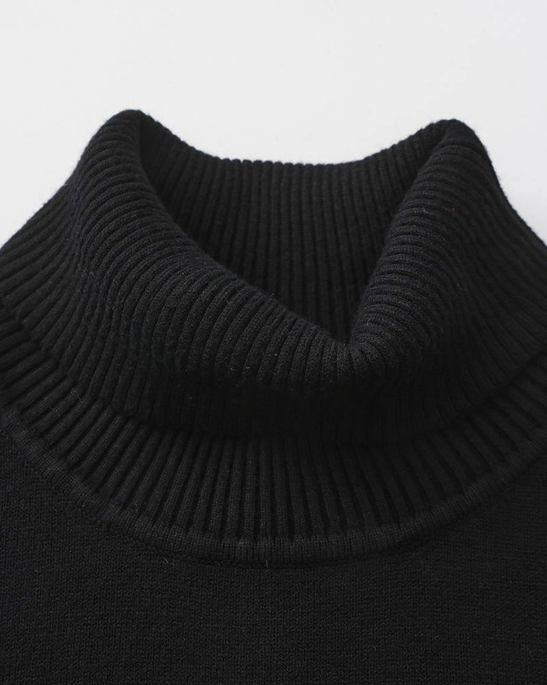 Knit Regular Fit Turtleneck Sweater