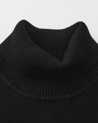Knit Regular Fit Turtleneck Sweater