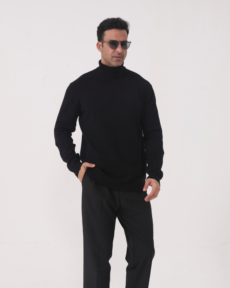 Knit Regular Fit Turtleneck Sweater