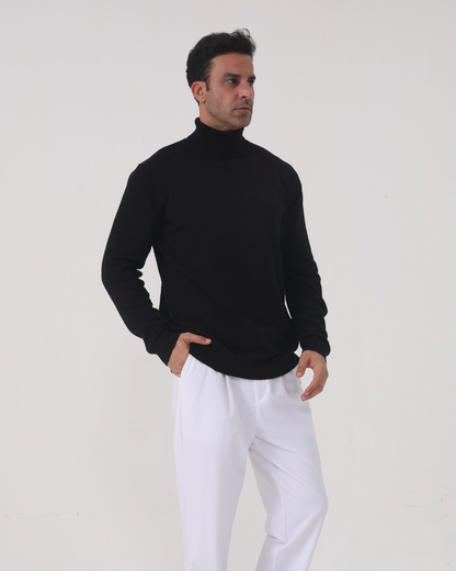 Knit Regular Fit Turtleneck Sweater