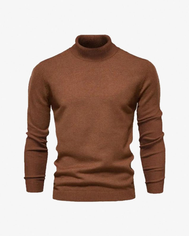 Knit Regular Fit Turtleneck Sweater
