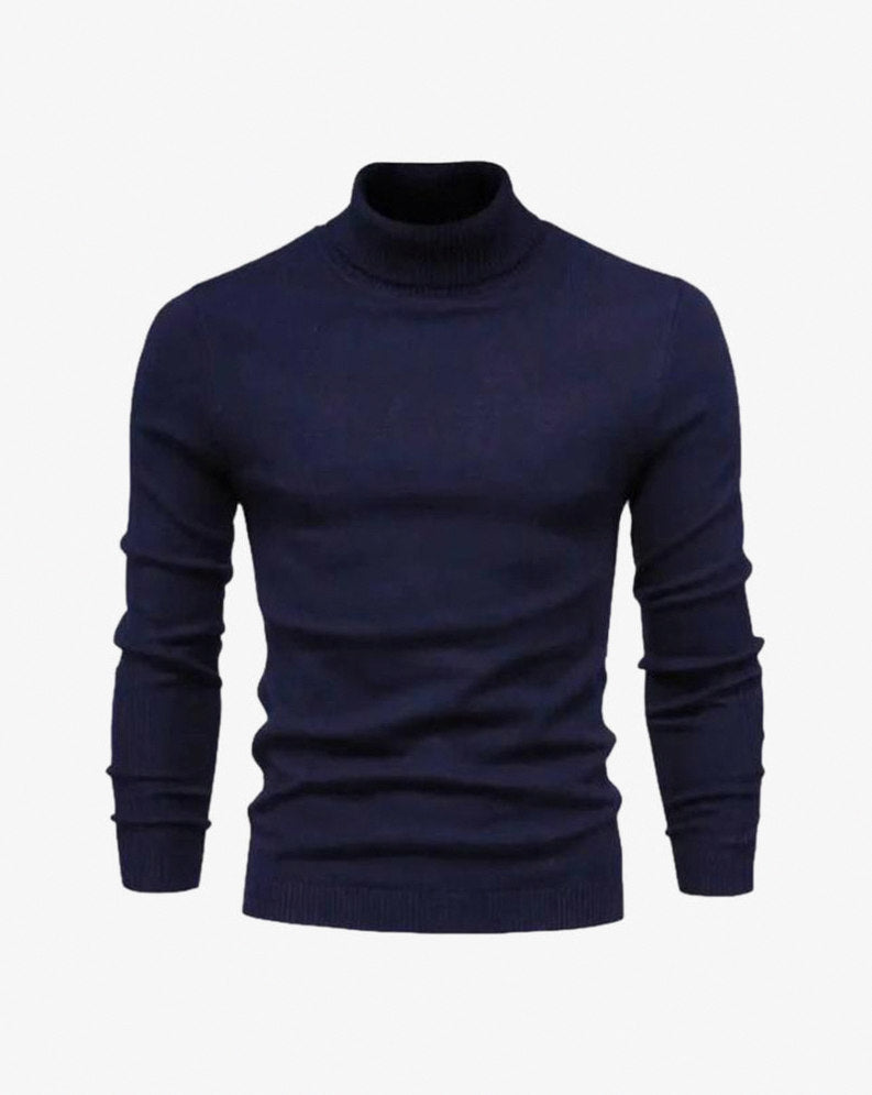 Knit Regular Fit Turtleneck Sweater