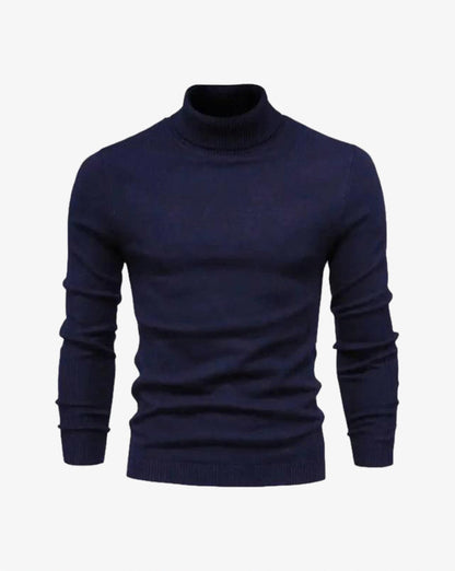 Knit Regular Fit Turtleneck Sweater