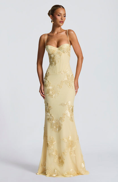 Mesh Corset Floral Applique Maxi Dress