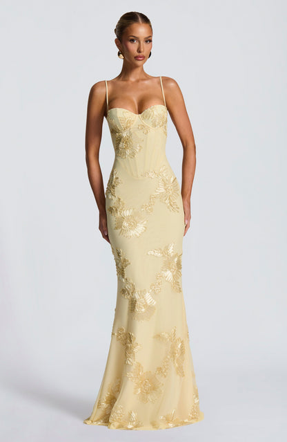Mesh Corset Floral Applique Maxi Dress