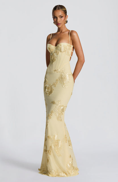 Mesh Corset Floral Applique Maxi Dress
