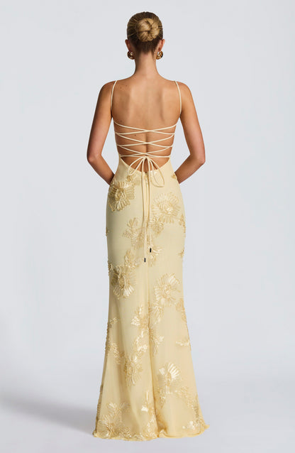 Mesh Corset Floral Applique Maxi Dress